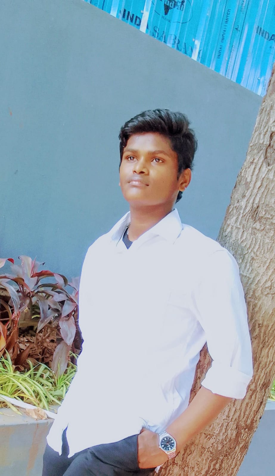 treasurer2